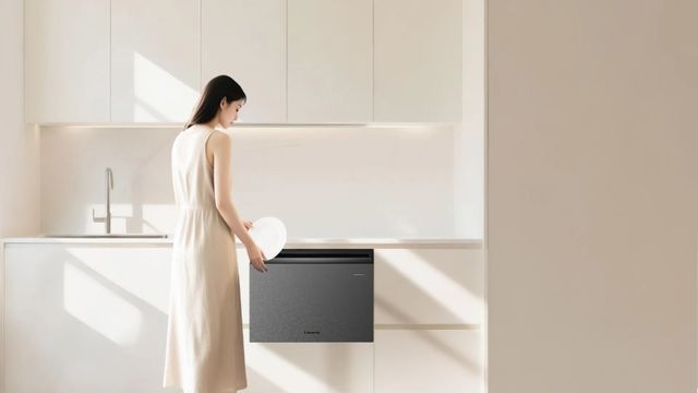 业正在迎来技术大爆发时代!AG真人国际网站洗碗机行(图2) 业正在迎来技术大爆发时代!AG真人国际网站洗碗机行(图2)